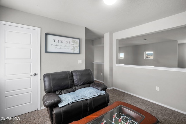 11562 Flor Gloriosa Dr, Socorro, TX 79927 - sitting room with carpet and baseboards