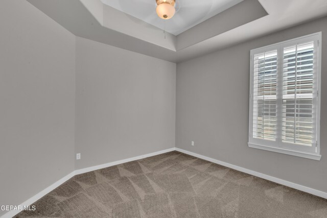 2174 Enchanted Crest Dr, El Paso, TX 79911 - unfurnished room featuring healthy amount of natural light, a raised ceiling, and carpet flooring