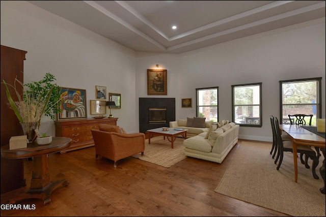 4490 Shadow Willow Dr, El Paso, TX 79922 - living room featuring a glass covered fireplace, wood finished floors, recessed lighting, a high ceiling, and baseboards