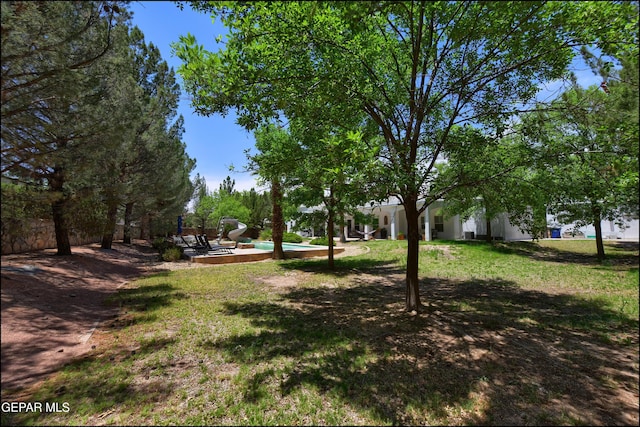 4490 Shadow Willow Dr, El Paso, TX 79922 - view of green lawn
