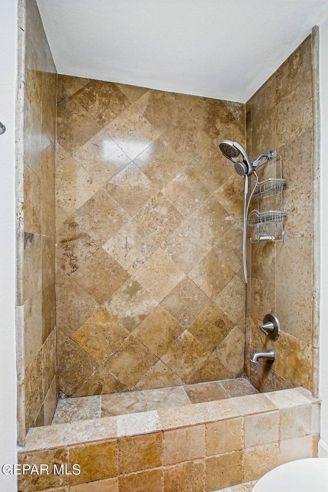 6006 Balcones Ct Unit 19, El Paso, TX 79912 - bathroom with tiled shower