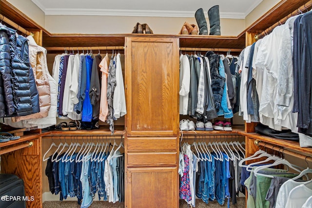6006 Balcones Ct Unit 19, El Paso, TX 79912 - walk in closet with carpet flooring