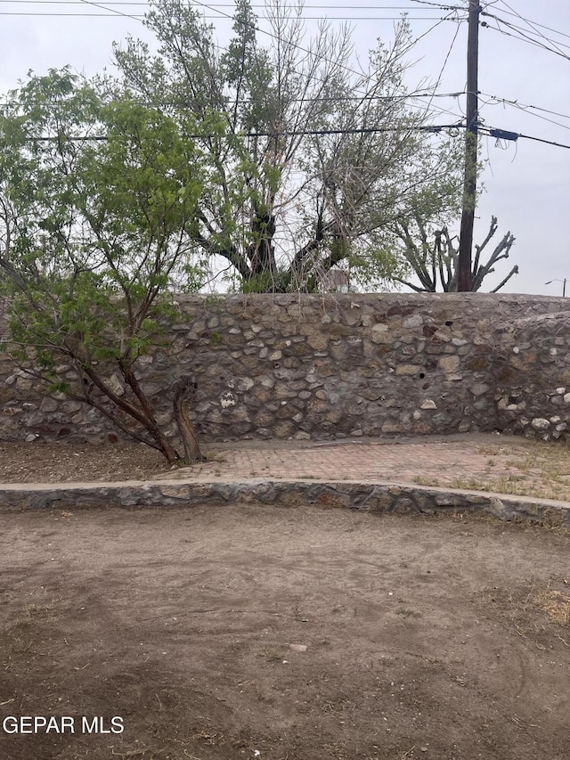 318 Olivia Cir, El Paso, TX 79912 - view of yard