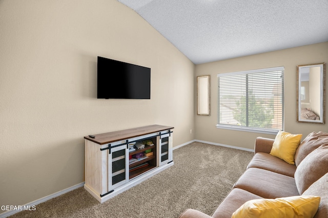 2216 Azure Point Ave, El Paso, TX 79938 - carpeted living area with lofted ceiling, baseboards, and a textured ceiling