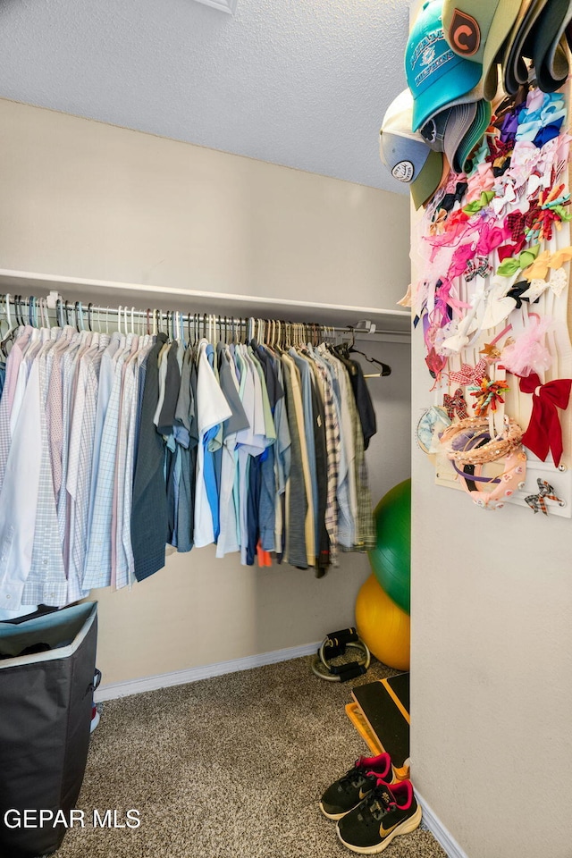 2216 Azure Point Ave, El Paso, TX 79938 - spacious closet with carpet flooring