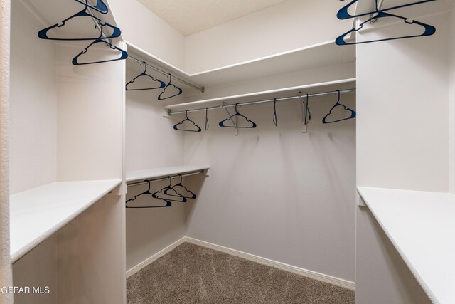 6308 Franklin Vis, El Paso, TX 79912 - walk in closet with carpet floors