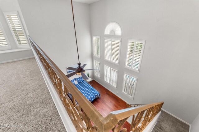 6308 Franklin Vis, El Paso, TX 79912 - stairway with a towering ceiling, baseboards, carpet floors, and a ceiling fan