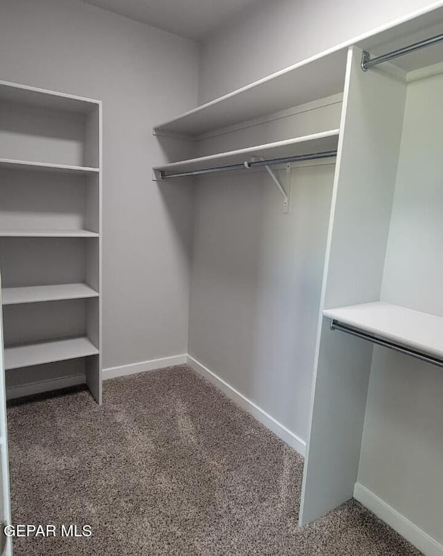 497 Plateau Dr, Socorro, TX 79927 - spacious closet with carpet floors