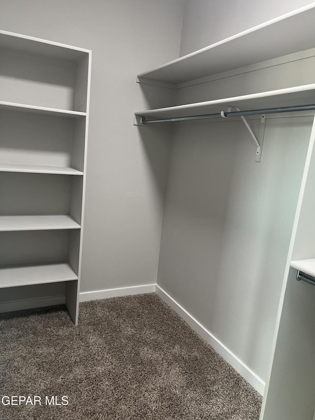 497 Plateau Dr, Socorro, TX 79927 - spacious closet featuring dark colored carpet