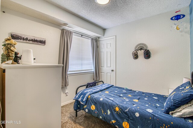 424 Cactus Crossing Dr, Horizon City, TX 79928 - photo 23