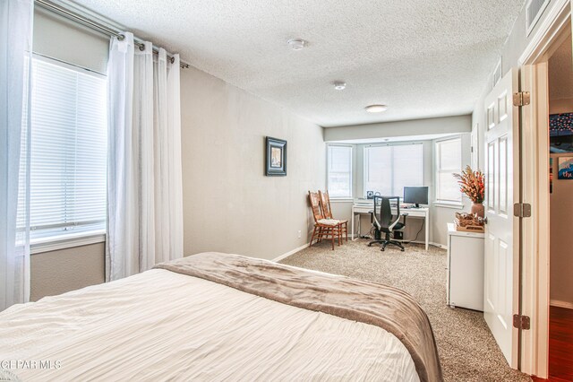 424 Cactus Crossing Dr, Horizon City, TX 79928 - photo 27