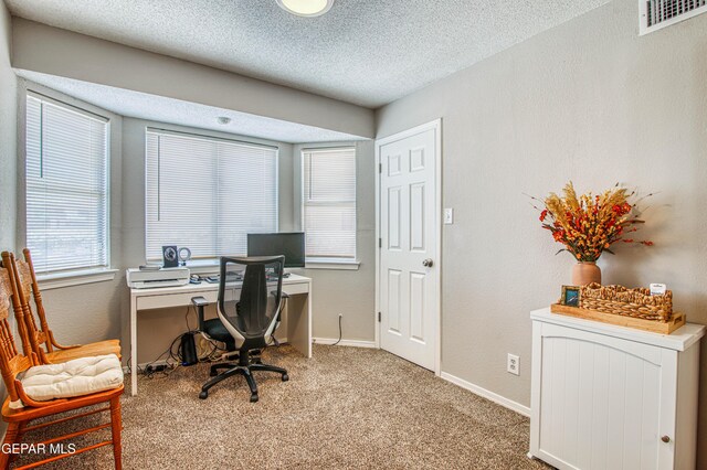 424 Cactus Crossing Dr, Horizon City, TX 79928 - photo 29