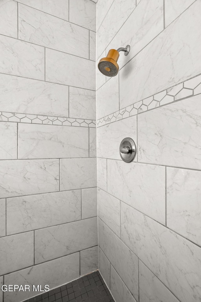 13804 Sky Ranger Ave, Horizon City, TX 79928 - full bath with tiled shower