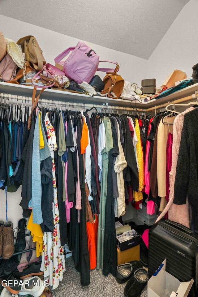 13804 Sky Ranger Ave, Horizon City, TX 79928 - spacious closet with carpet