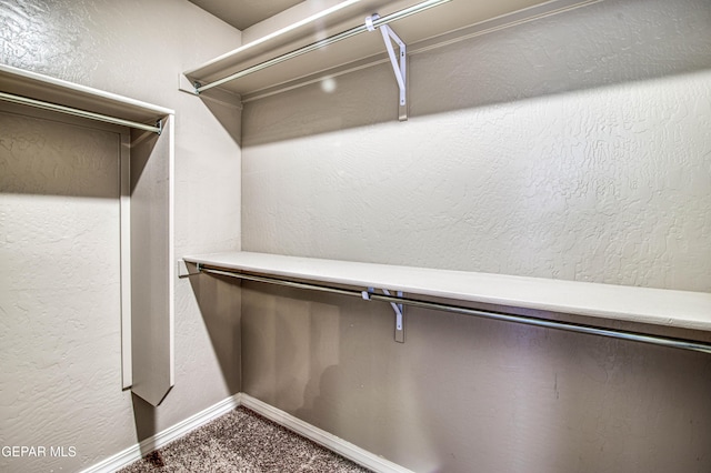 12772 Silver Streak Ave, El Paso, TX 79928 - walk in closet with carpet flooring