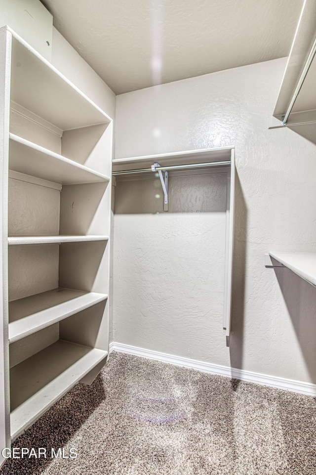 12772 Silver Streak Ave, El Paso, TX 79928 - walk in closet with carpet