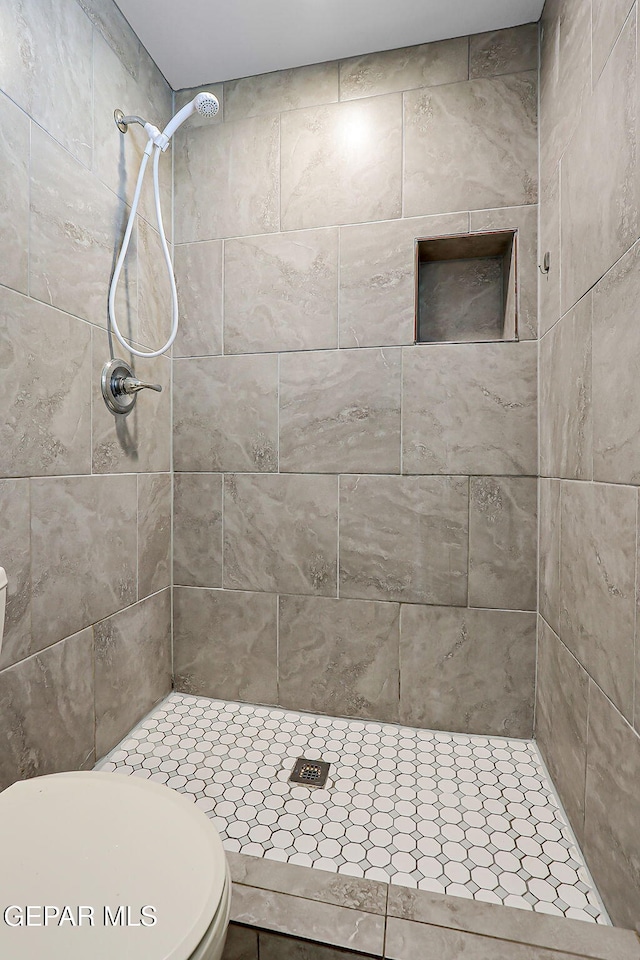 10321 Thor St, El Paso, TX 79924 - full bath with tiled shower and toilet