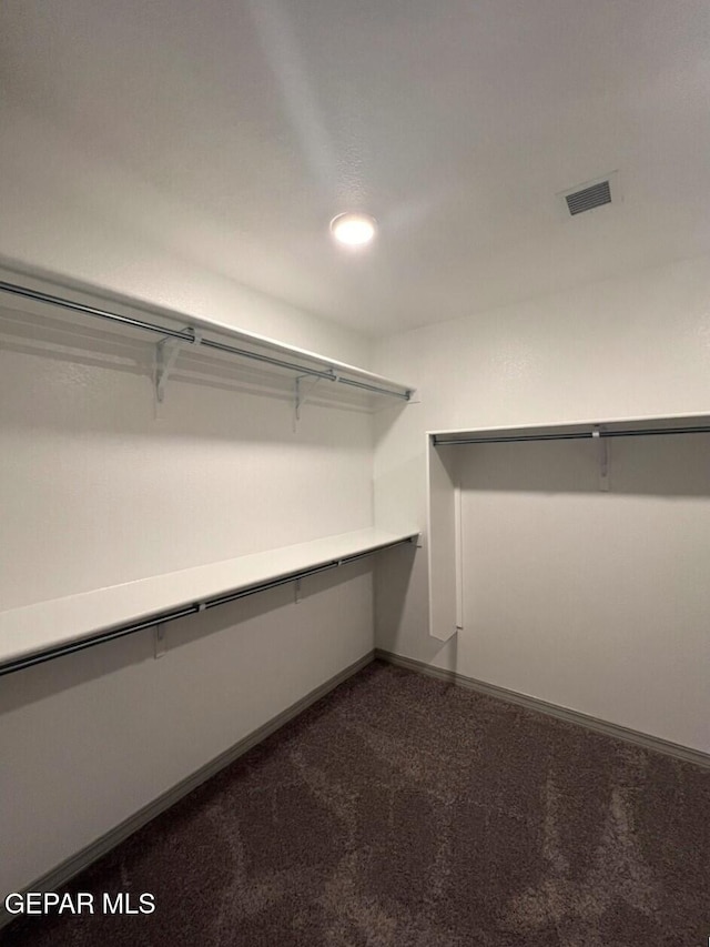 12868 Star Gaze Ave, El Paso, TX 79928 - walk in closet with dark carpet