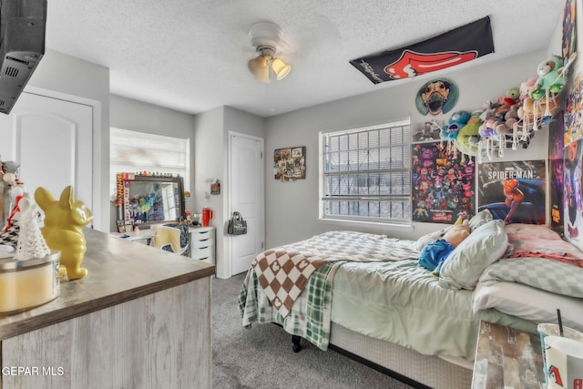 5717 Port Lavaca Dr, El Paso, TX 79924 - bedroom featuring carpet floors, multiple windows, and a textured ceiling