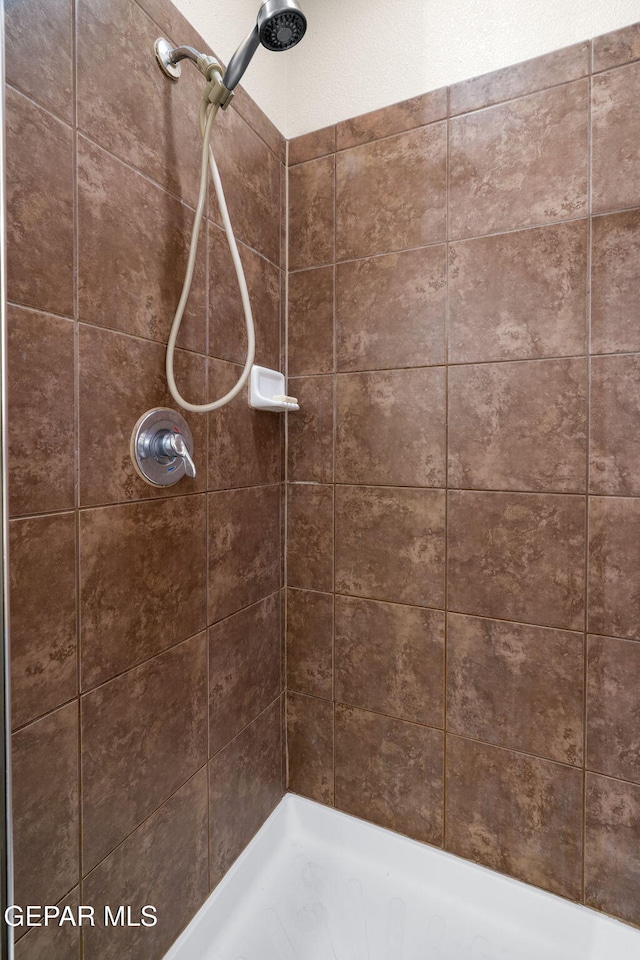 14382 Karen Point Ct, El Paso, TX 79938 - full bath with a tile shower