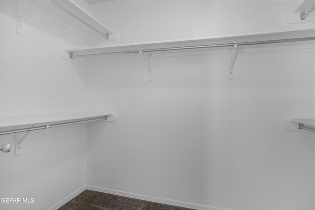 1497 Dunlin Pl, El Paso, TX 79928 - walk in closet featuring dark carpet