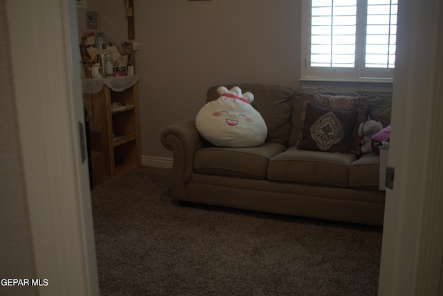3136 Red Crk, El Paso, TX 79938 - living room featuring carpet flooring