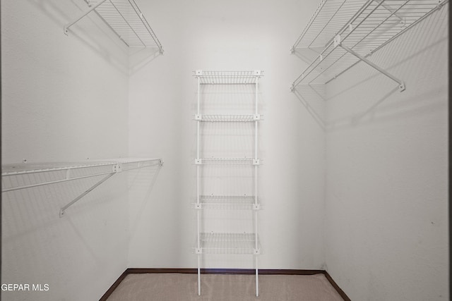 4513 Gen Maloney Cir, El Paso, TX 79924 - view of spacious closet