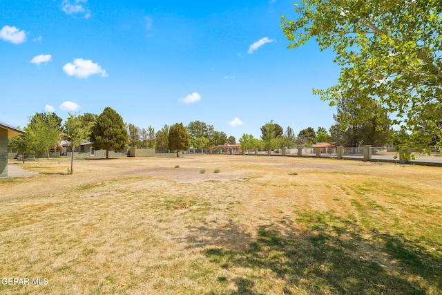 5300 Crawford Rd, Santa Teresa, NM 88008 - view of yard