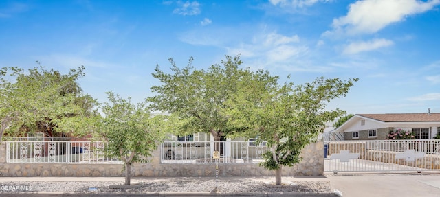 9549 Albany Dr, El Paso, TX 79924 - obstructed view of property with a fenced front yard, concrete driveway, and a gate