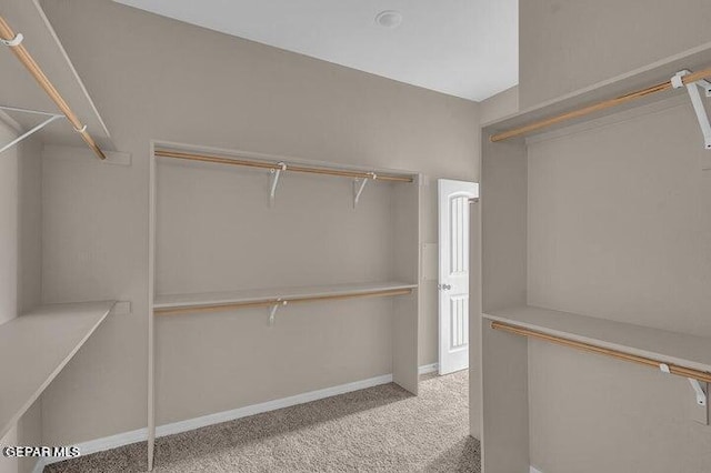 3928 Aspiration, El Paso, TX 79934 - walk in closet with carpet floors