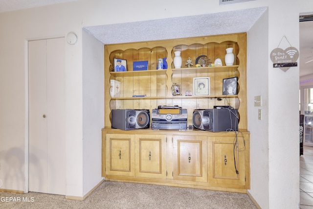 11625 Soberana Ln Unit A & B, El Paso, TX 79936 - detailed view of carpet flooring and baseboards