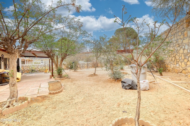 11625 Soberana Ln Unit A & B, El Paso, TX 79936 - fenced backyard featuring a patio