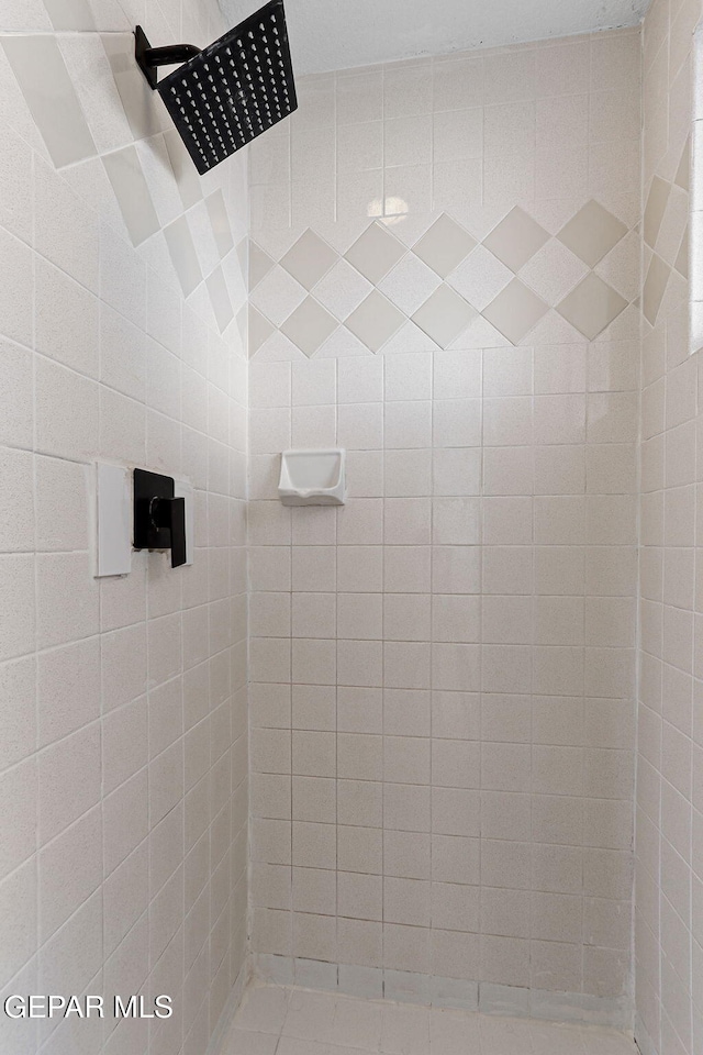 1328 Morgan Marie St, El Paso, TX 79936 - bathroom featuring a tile shower