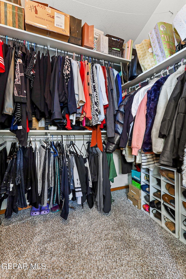 1328 Morgan Marie St, El Paso, TX 79936 - view of walk in closet