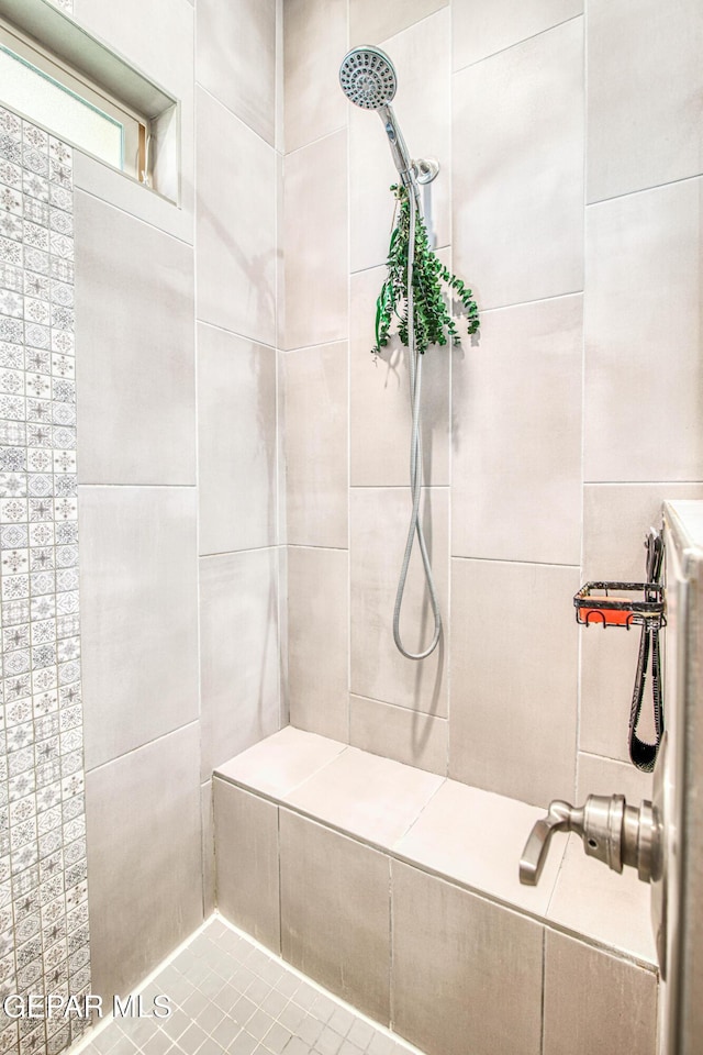 12826 Osmotherly Ave, El Paso, TX 79928 - bathroom featuring tiled shower and pet washing station