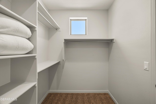 14932 Hill Ridge Ct, El Paso, TX 79938 - spacious closet with carpet flooring