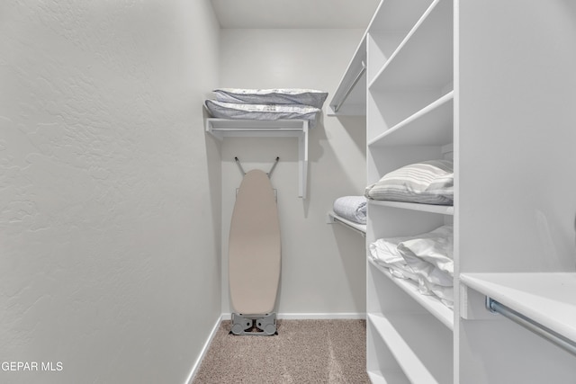 281 Farnborough St, Horizon City, TX 79928 - walk in closet with carpet flooring