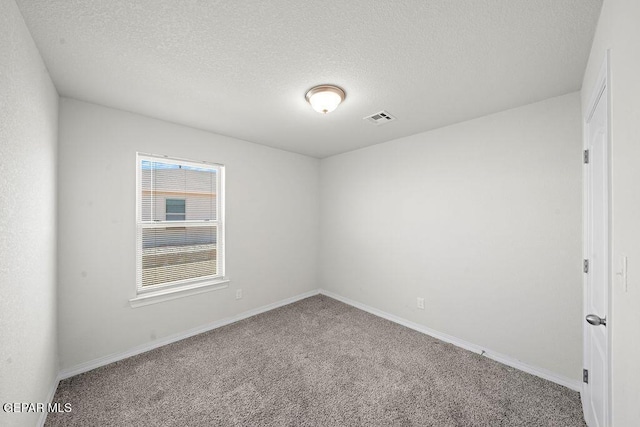 14573 Banana Yucca Ave, Horizon City, TX 79928 - spare room with carpet, a textured ceiling, and baseboards