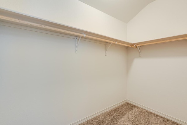 13852 Summer Wave Ave, El Paso, TX 79928 - walk in closet featuring light carpet and vaulted ceiling