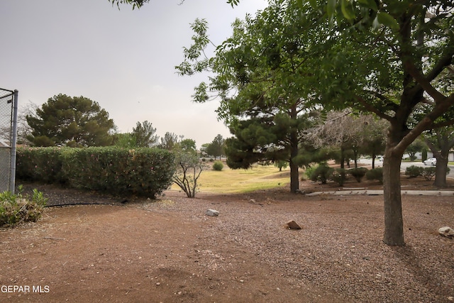 10605 Park View Cir, El Paso, TX 79935 - view of yard