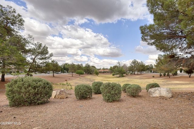 10605 Park View Cir, El Paso, TX 79935 - view of yard