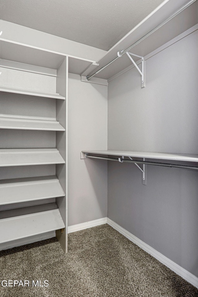 3129 Spring Willow, El Paso, TX 79938 - spacious closet with carpet