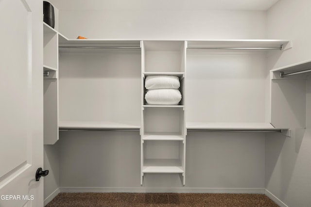 13824 Paseo Bosque Ave, El Paso, TX 79928 - walk in closet featuring carpet floors