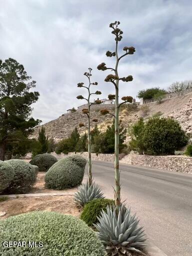19 Hidden Hills Dr, El Paso, TX 79902