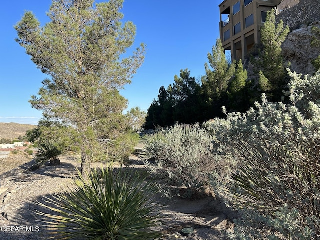 24 Sierra Crest Dr, El Paso, TX 79902