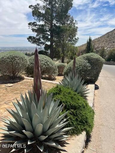 24 Sierra Crest Dr, El Paso, TX 79902