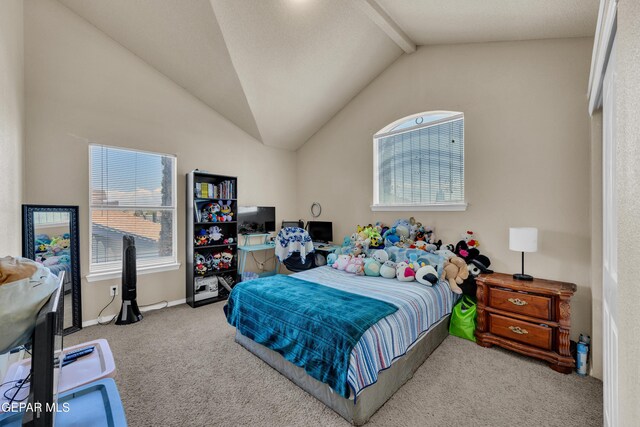 444 Ghost Flower St, Horizon City, TX 79928 - carpeted bedroom with lofted ceiling and baseboards
