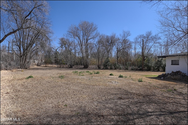 5140 Camino De La Vista Dr, El Paso, TX 79932 - view of yard