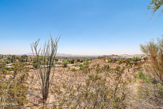 6368 La Posta Dr, El Paso, TX 79912 - photo 88
