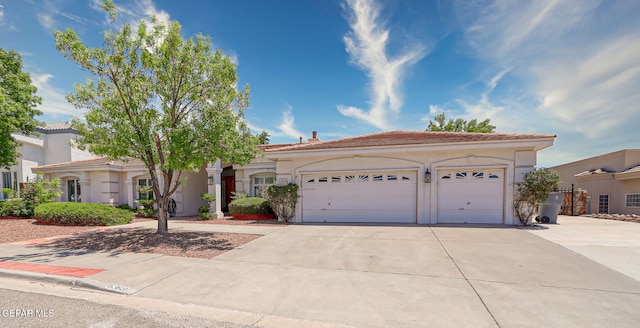 6368 La Posta Dr, El Paso, TX 79912 - photo 10